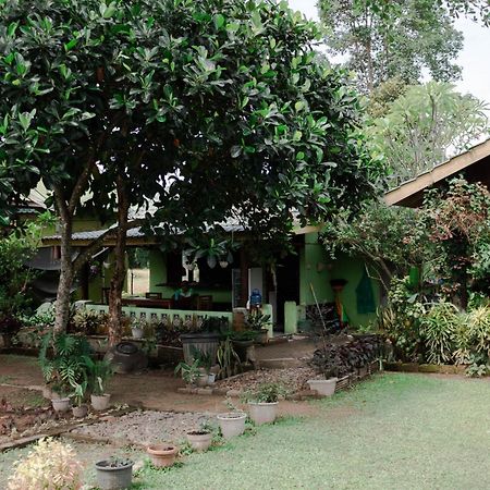 Ambow Homestay Jungle Trekking & Village Tour Bukit Lawang Exterior foto