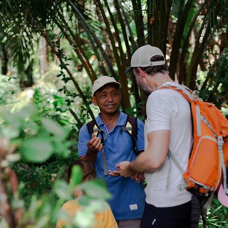Ambow Homestay Jungle Trekking & Village Tour Bukit Lawang Exterior foto