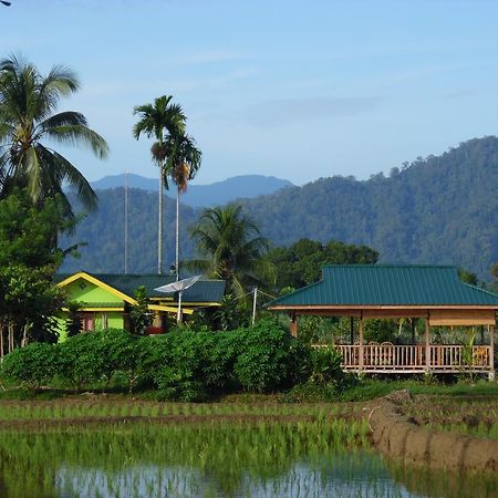 Ambow Homestay Jungle Trekking & Village Tour Bukit Lawang Exterior foto