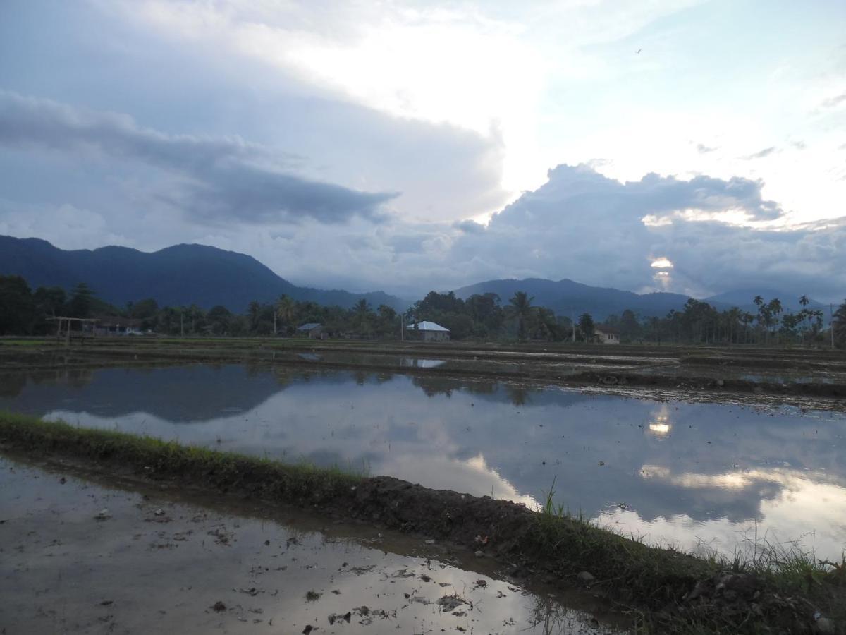 Ambow Homestay Jungle Trekking & Village Tour Bukit Lawang Exterior foto