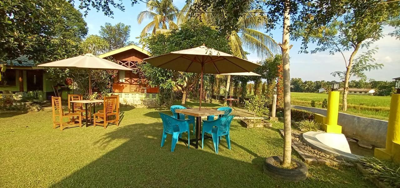 Ambow Homestay Jungle Trekking & Village Tour Bukit Lawang Exterior foto