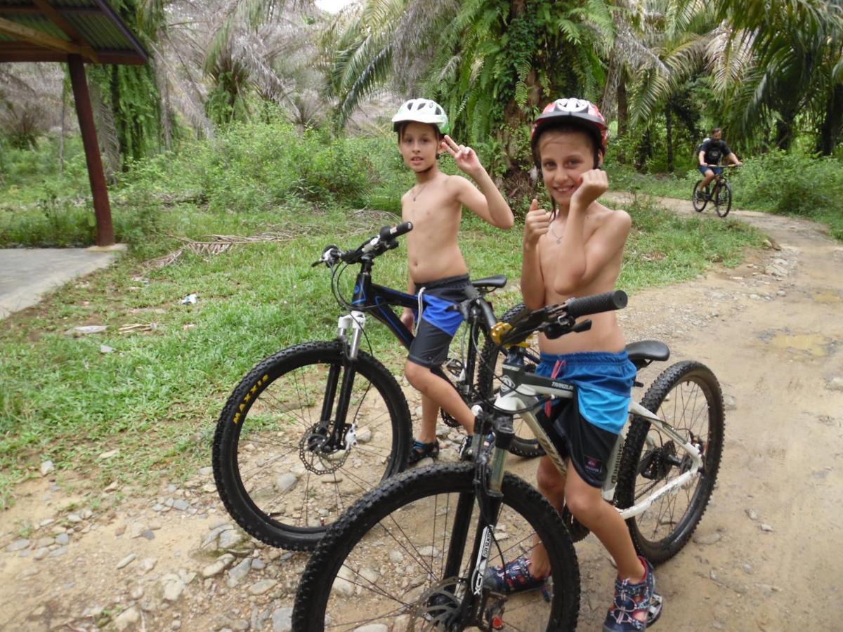 Ambow Homestay Jungle Trekking & Village Tour Bukit Lawang Exterior foto