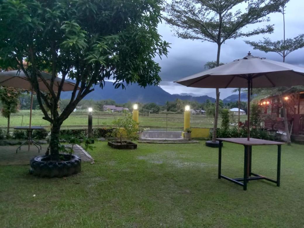 Ambow Homestay Jungle Trekking & Village Tour Bukit Lawang Exterior foto