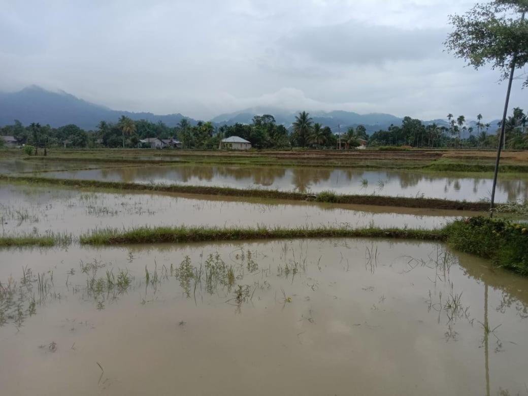 Ambow Homestay Jungle Trekking & Village Tour Bukit Lawang Exterior foto