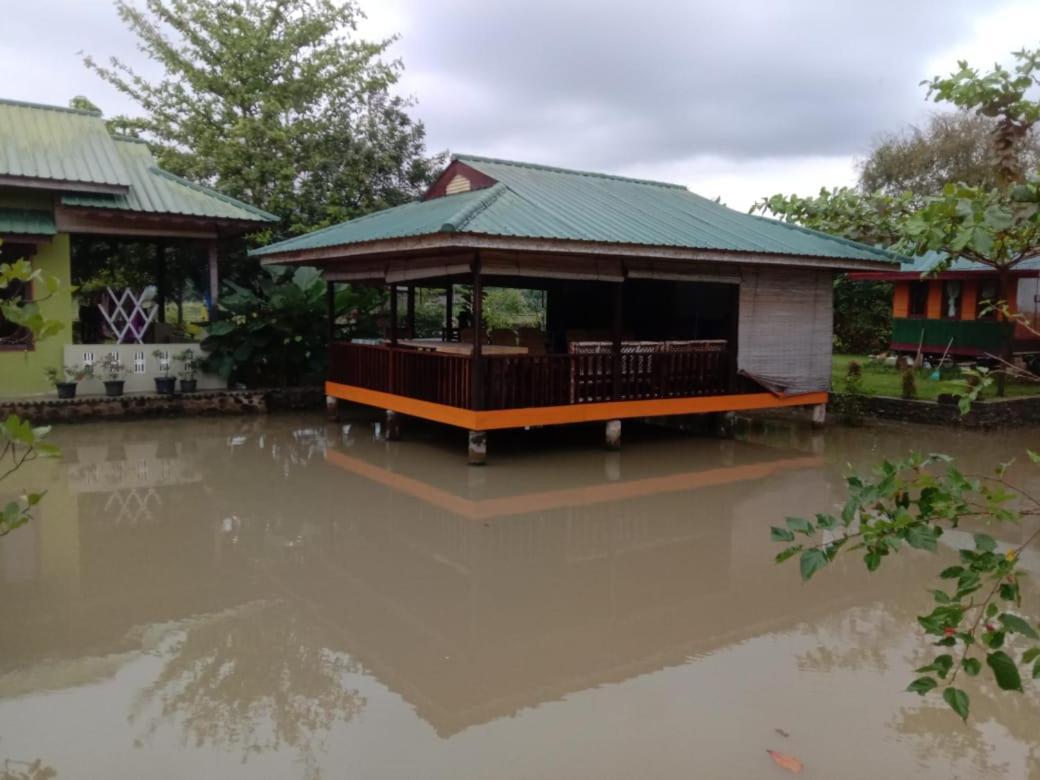 Ambow Homestay Jungle Trekking & Village Tour Bukit Lawang Exterior foto