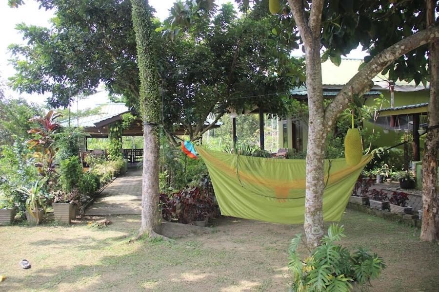 Ambow Homestay Jungle Trekking & Village Tour Bukit Lawang Exterior foto