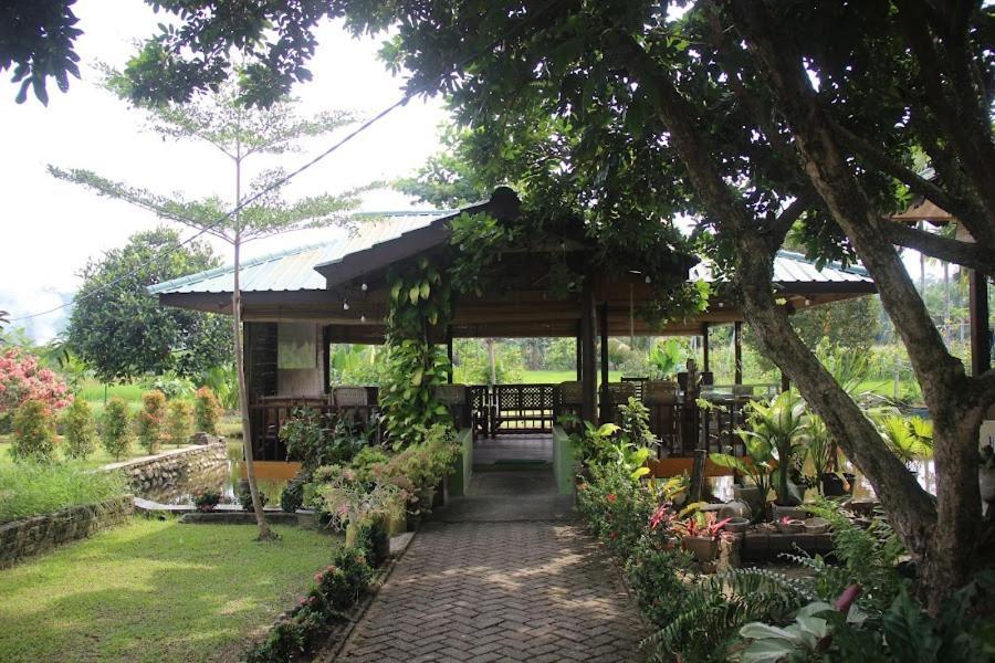 Ambow Homestay Jungle Trekking & Village Tour Bukit Lawang Exterior foto