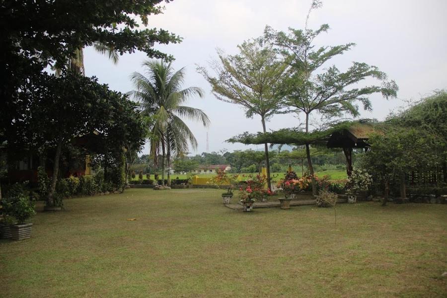 Ambow Homestay Jungle Trekking & Village Tour Bukit Lawang Exterior foto