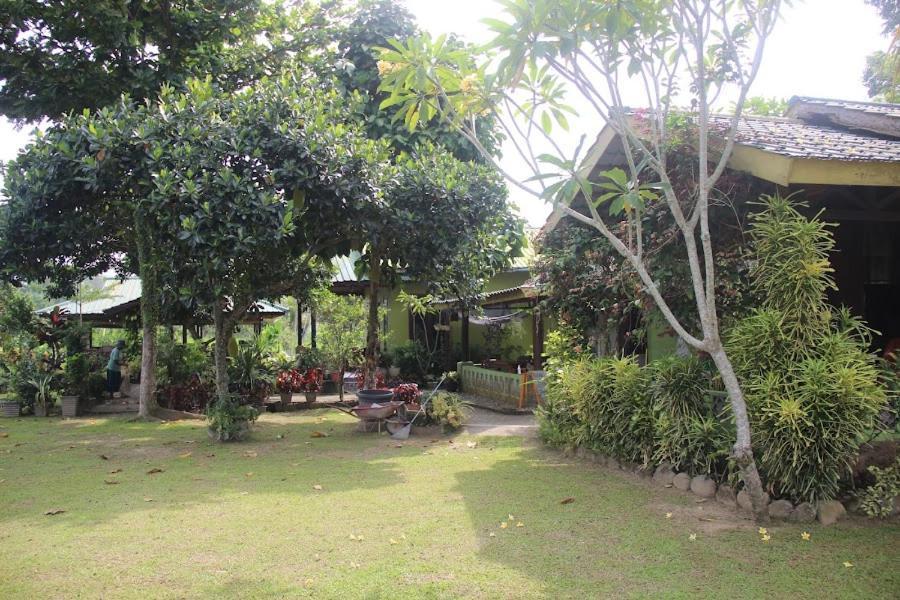 Ambow Homestay Jungle Trekking & Village Tour Bukit Lawang Exterior foto