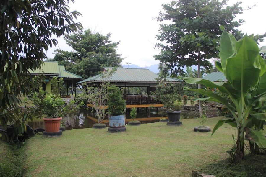 Ambow Homestay Jungle Trekking & Village Tour Bukit Lawang Exterior foto