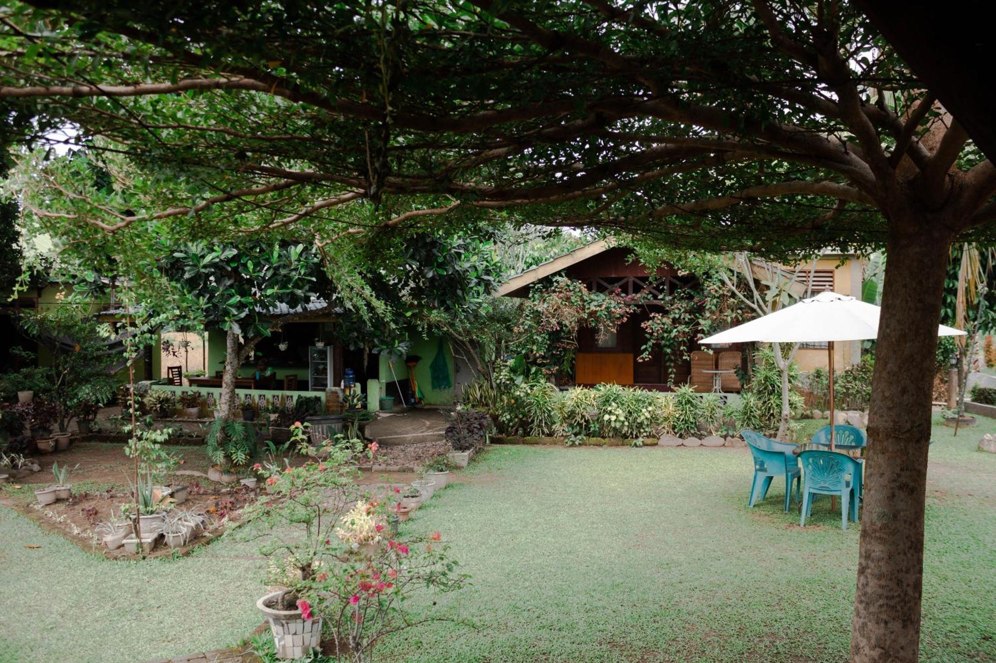 Ambow Homestay Jungle Trekking & Village Tour Bukit Lawang Exterior foto