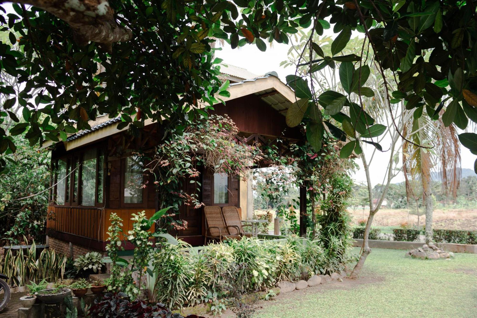 Ambow Homestay Jungle Trekking & Village Tour Bukit Lawang Exterior foto