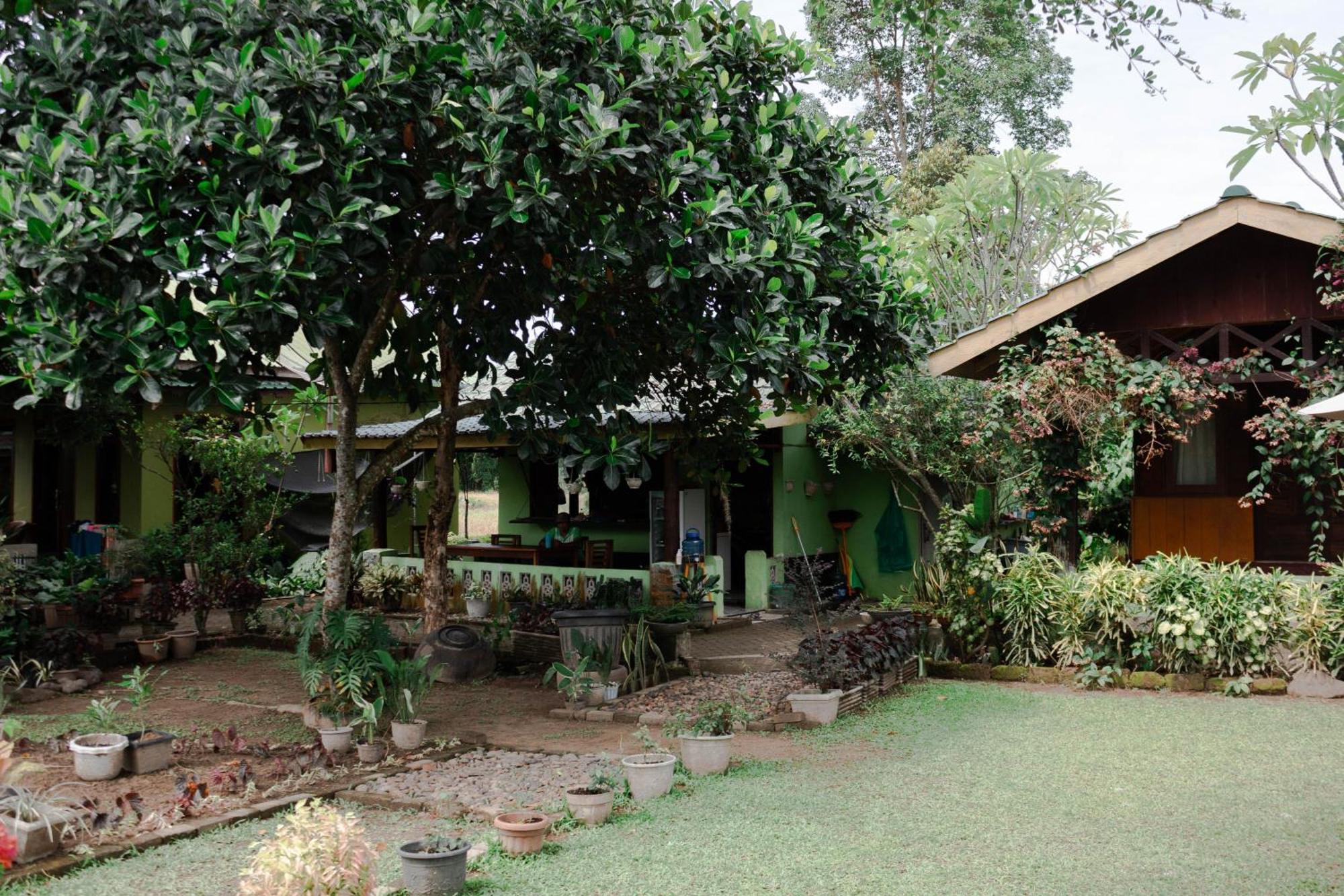 Ambow Homestay Jungle Trekking & Village Tour Bukit Lawang Exterior foto