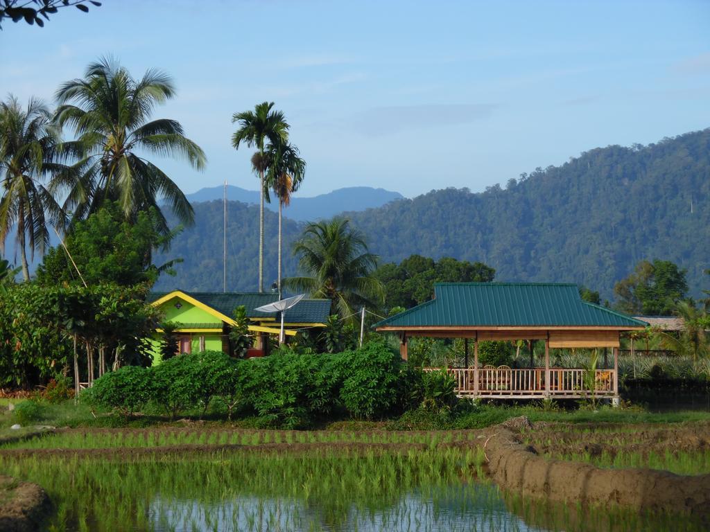 Ambow Homestay Jungle Trekking & Village Tour Bukit Lawang Exterior foto