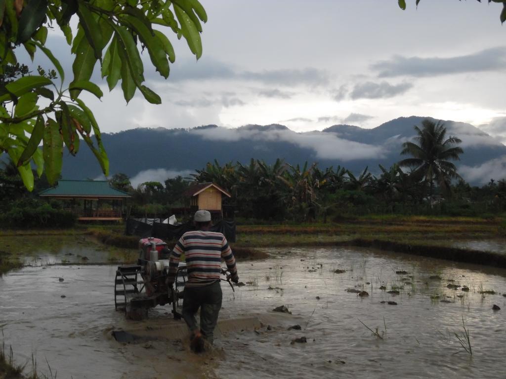 Ambow Homestay Jungle Trekking & Village Tour Bukit Lawang Exterior foto