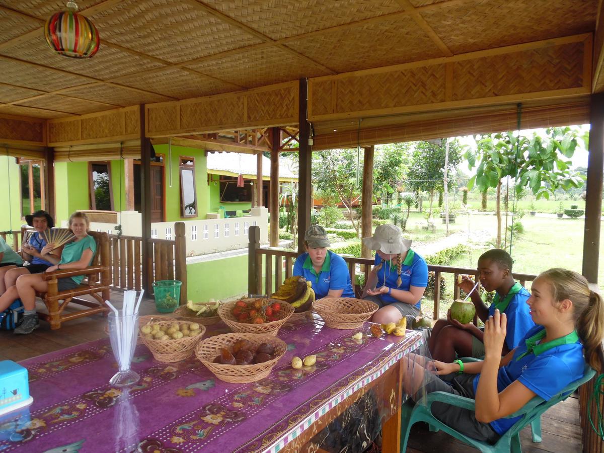 Ambow Homestay Jungle Trekking & Village Tour Bukit Lawang Exterior foto