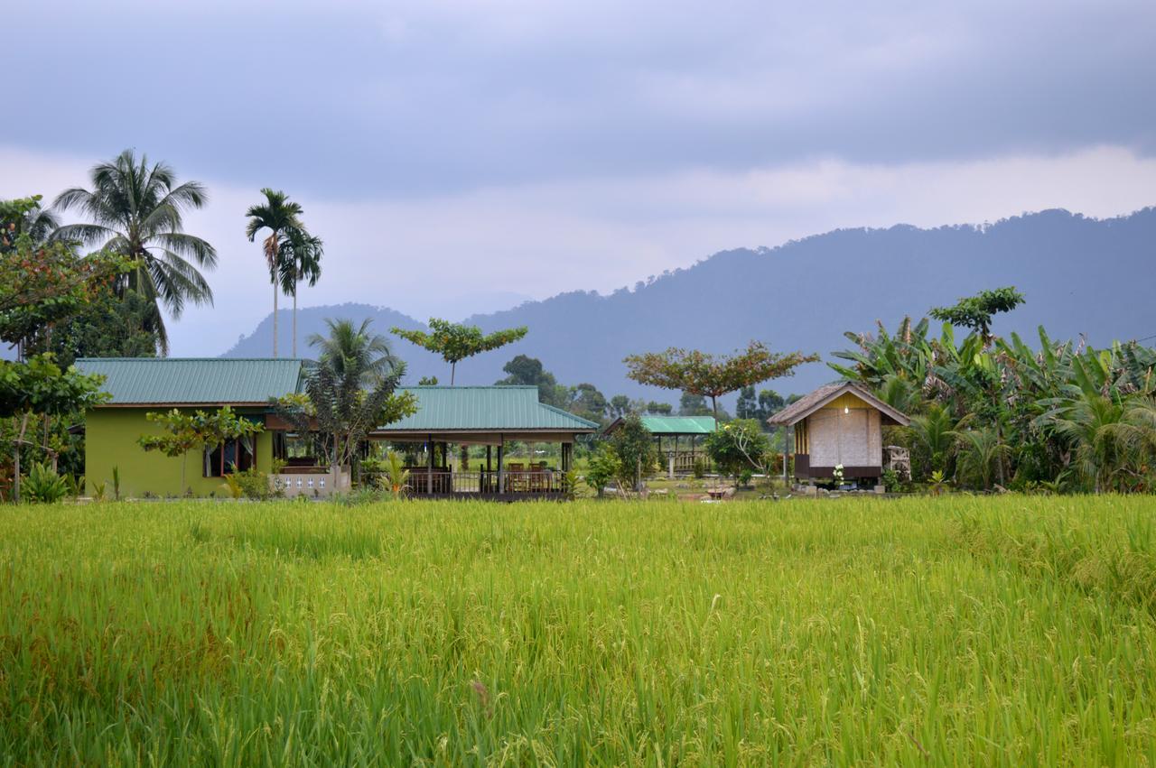 Ambow Homestay Jungle Trekking & Village Tour Bukit Lawang Exterior foto