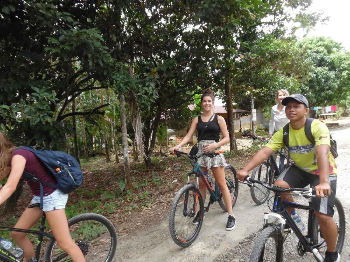 Ambow Homestay Jungle Trekking & Village Tour Bukit Lawang Exterior foto