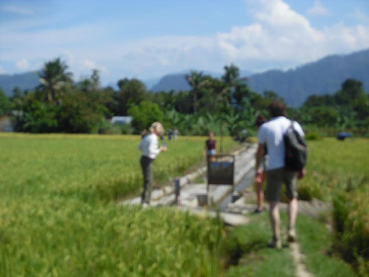 Ambow Homestay Jungle Trekking & Village Tour Bukit Lawang Exterior foto