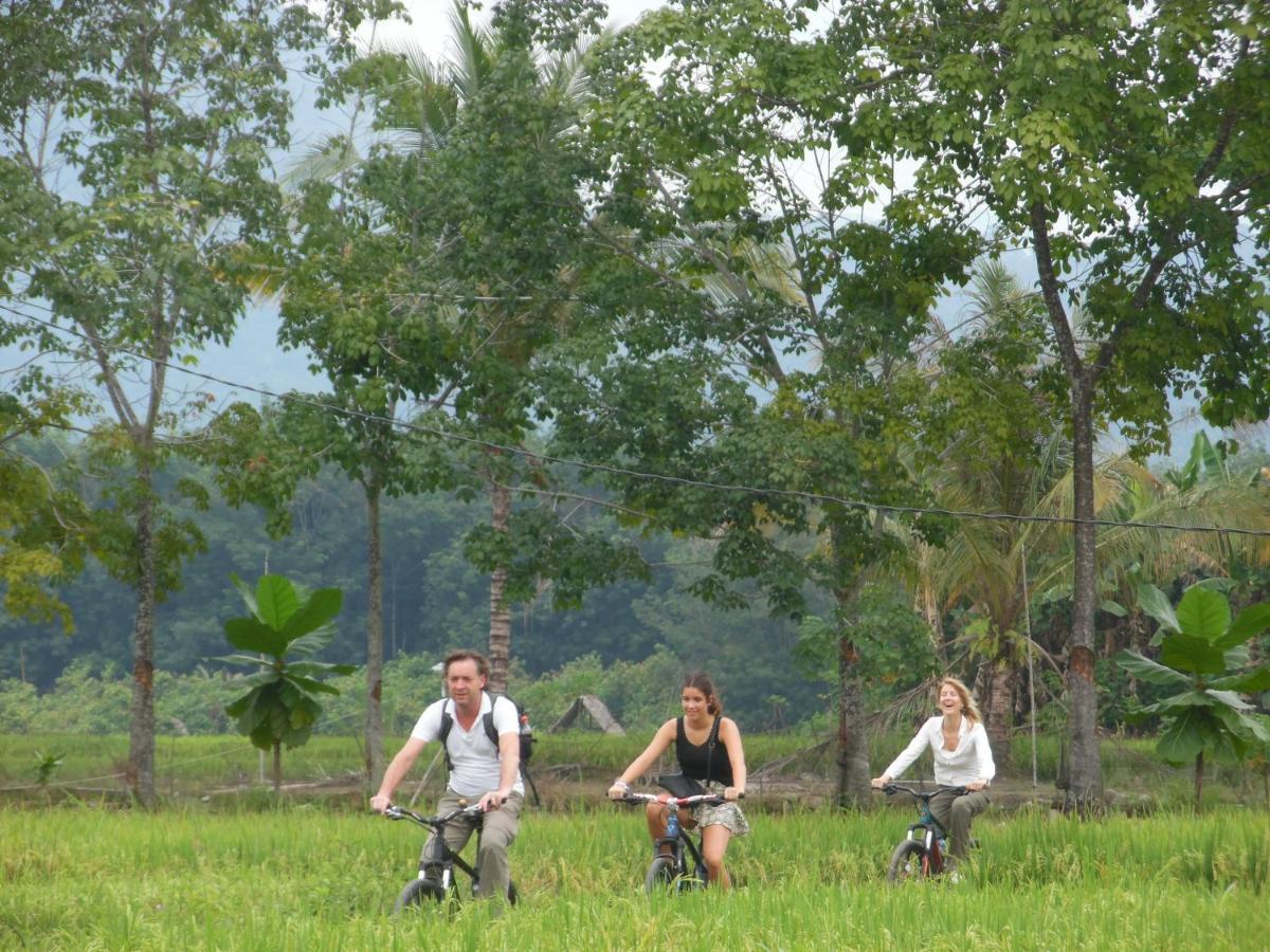 Ambow Homestay Jungle Trekking & Village Tour Bukit Lawang Exterior foto