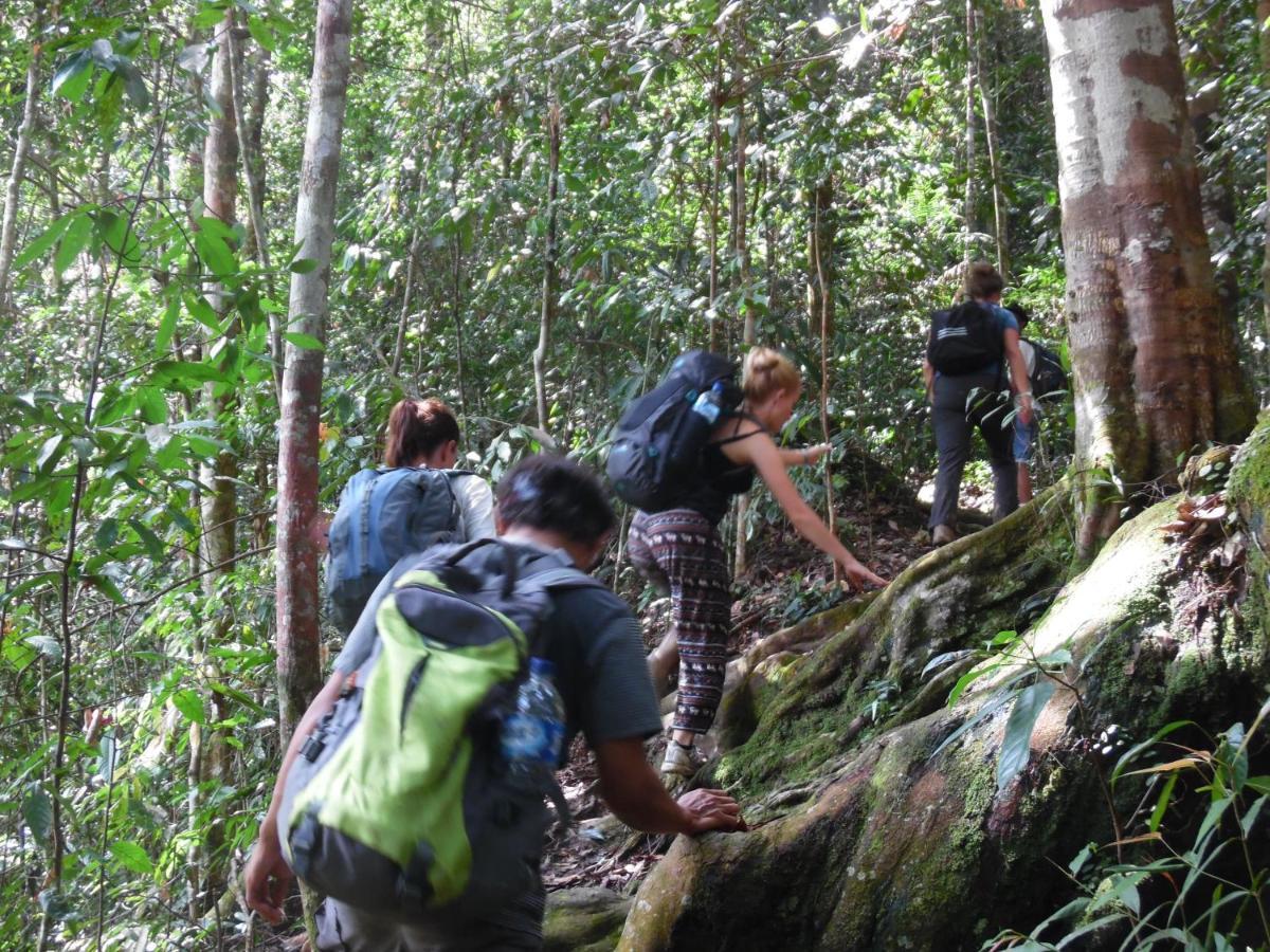 Ambow Homestay Jungle Trekking & Village Tour Bukit Lawang Exterior foto