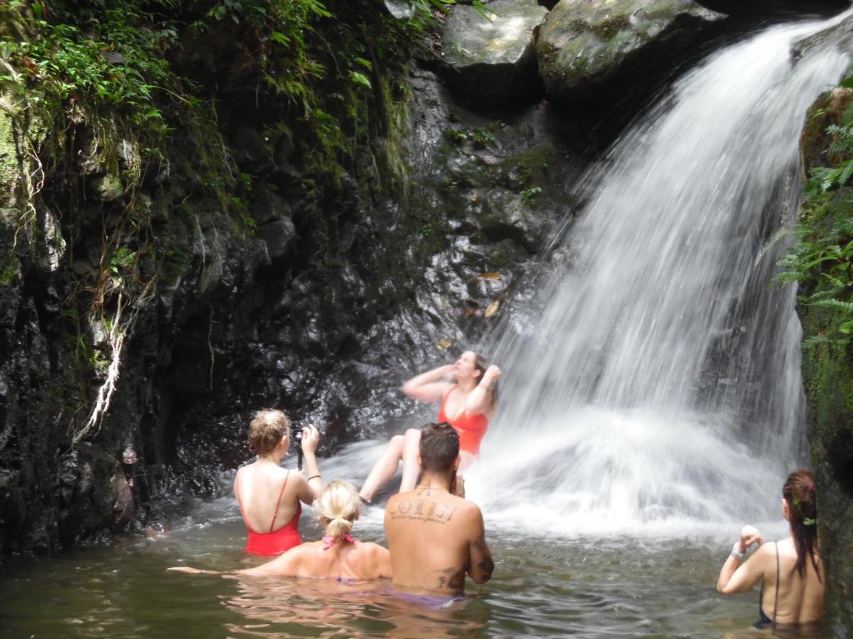 Ambow Homestay Jungle Trekking & Village Tour Bukit Lawang Exterior foto