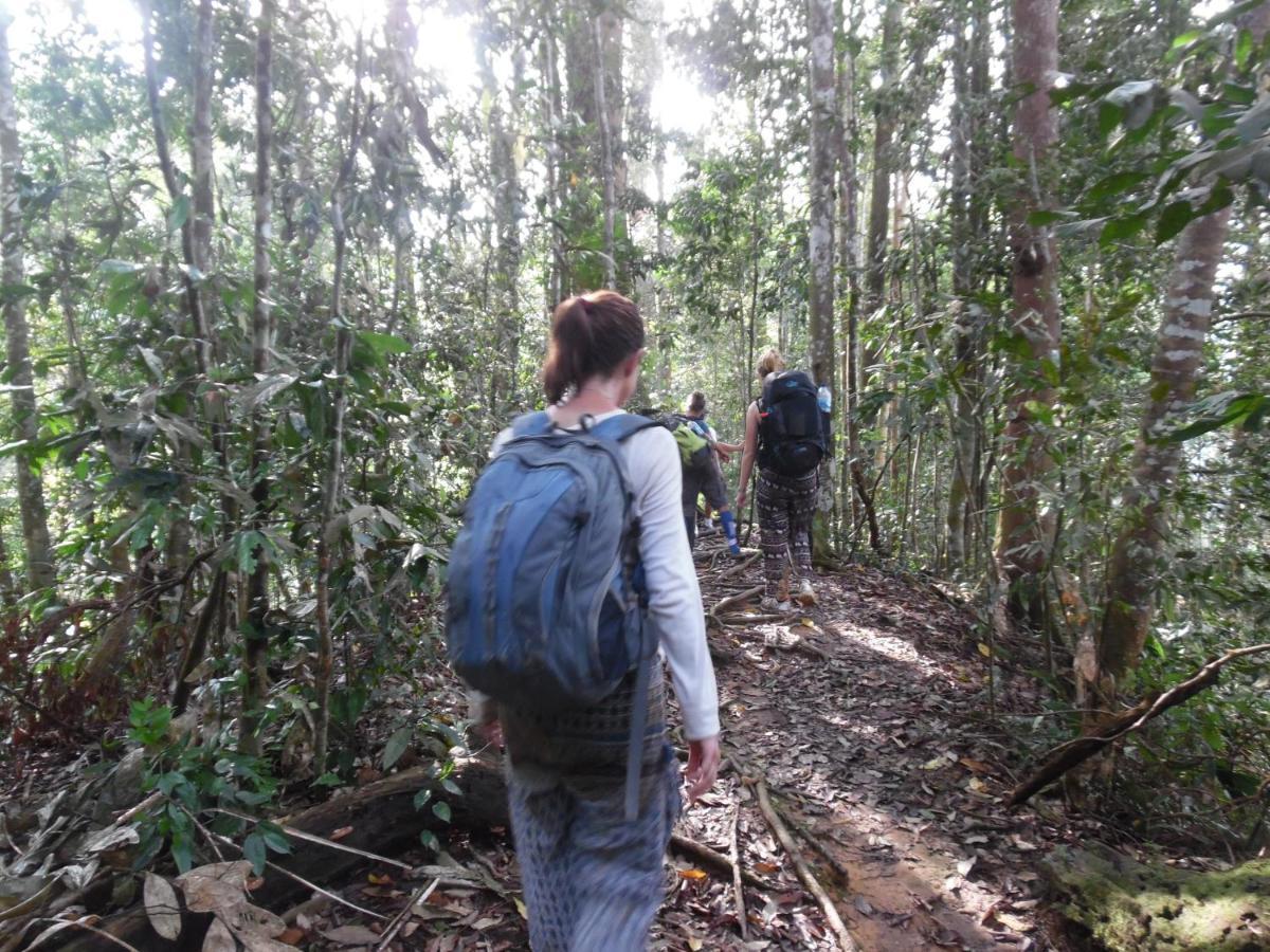Ambow Homestay Jungle Trekking & Village Tour Bukit Lawang Exterior foto