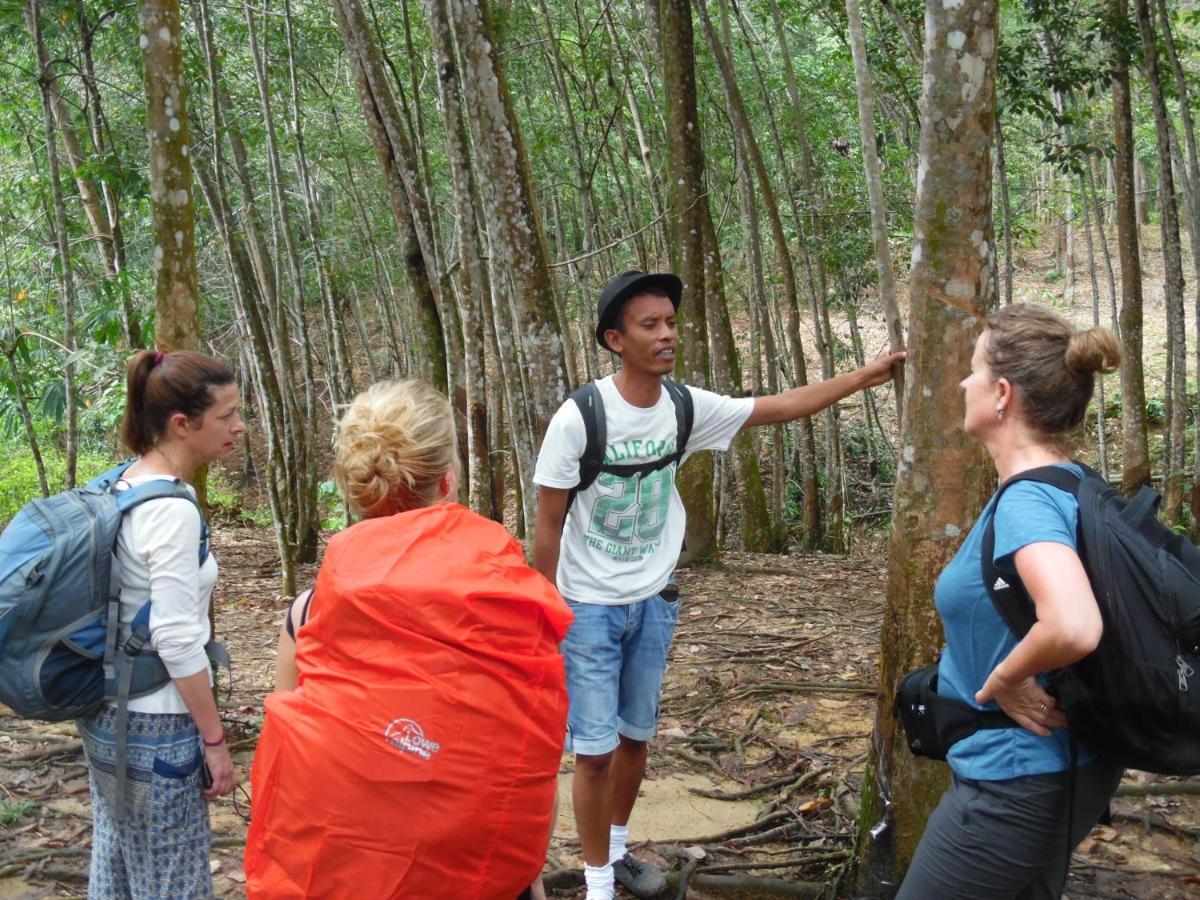 Ambow Homestay Jungle Trekking & Village Tour Bukit Lawang Exterior foto
