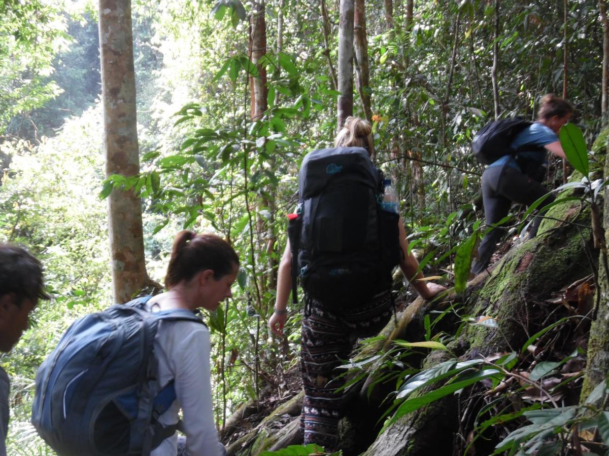 Ambow Homestay Jungle Trekking & Village Tour Bukit Lawang Exterior foto