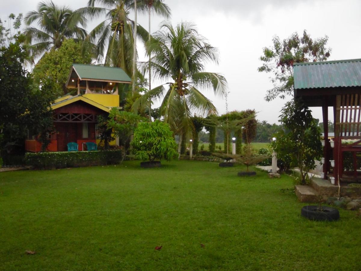 Ambow Homestay Jungle Trekking & Village Tour Bukit Lawang Exterior foto