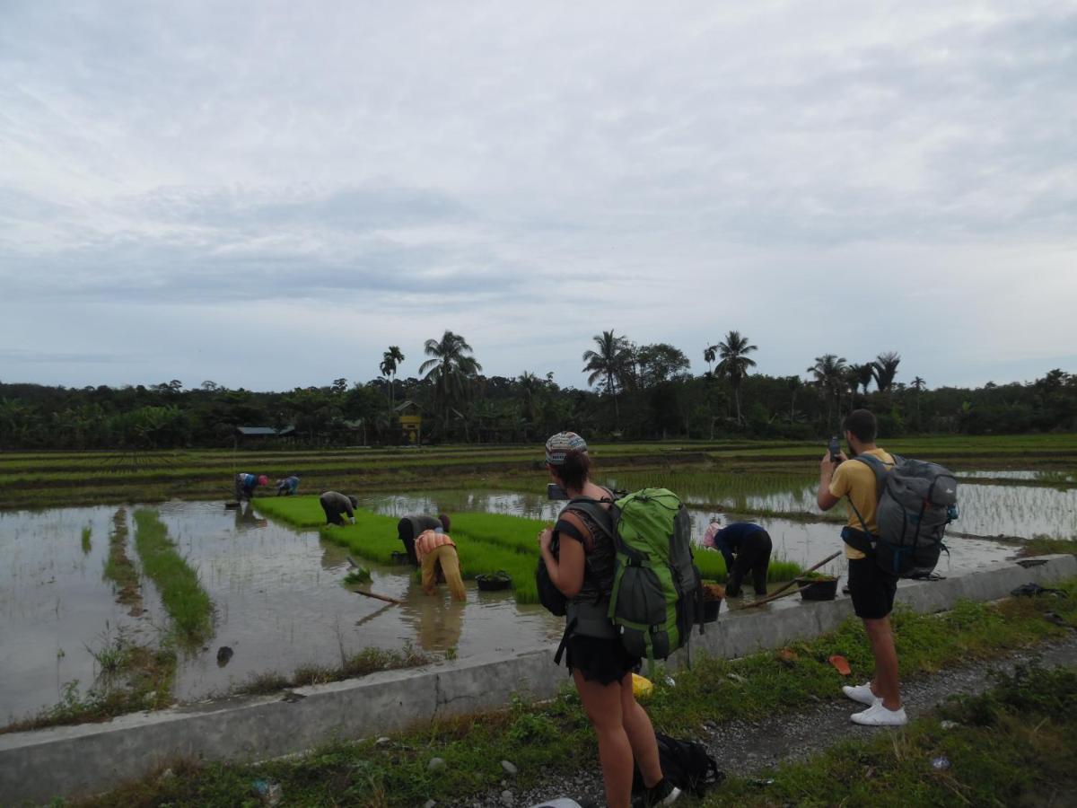 Ambow Homestay Jungle Trekking & Village Tour Bukit Lawang Exterior foto